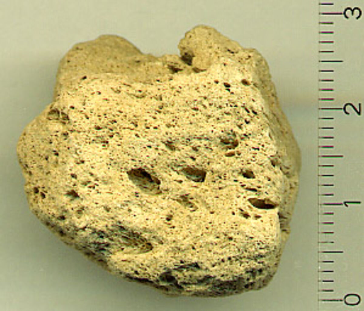 변기에 생긴 딱딱한 물때, 부석(Pumice Stone)으로 스크래치 없이 지우는 방법